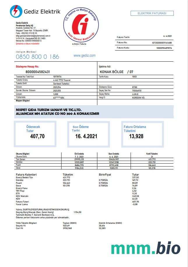 Turcja Gediz Elektrik rachunek za media szablon w formacie Word i PDF, w pełni edytowalne